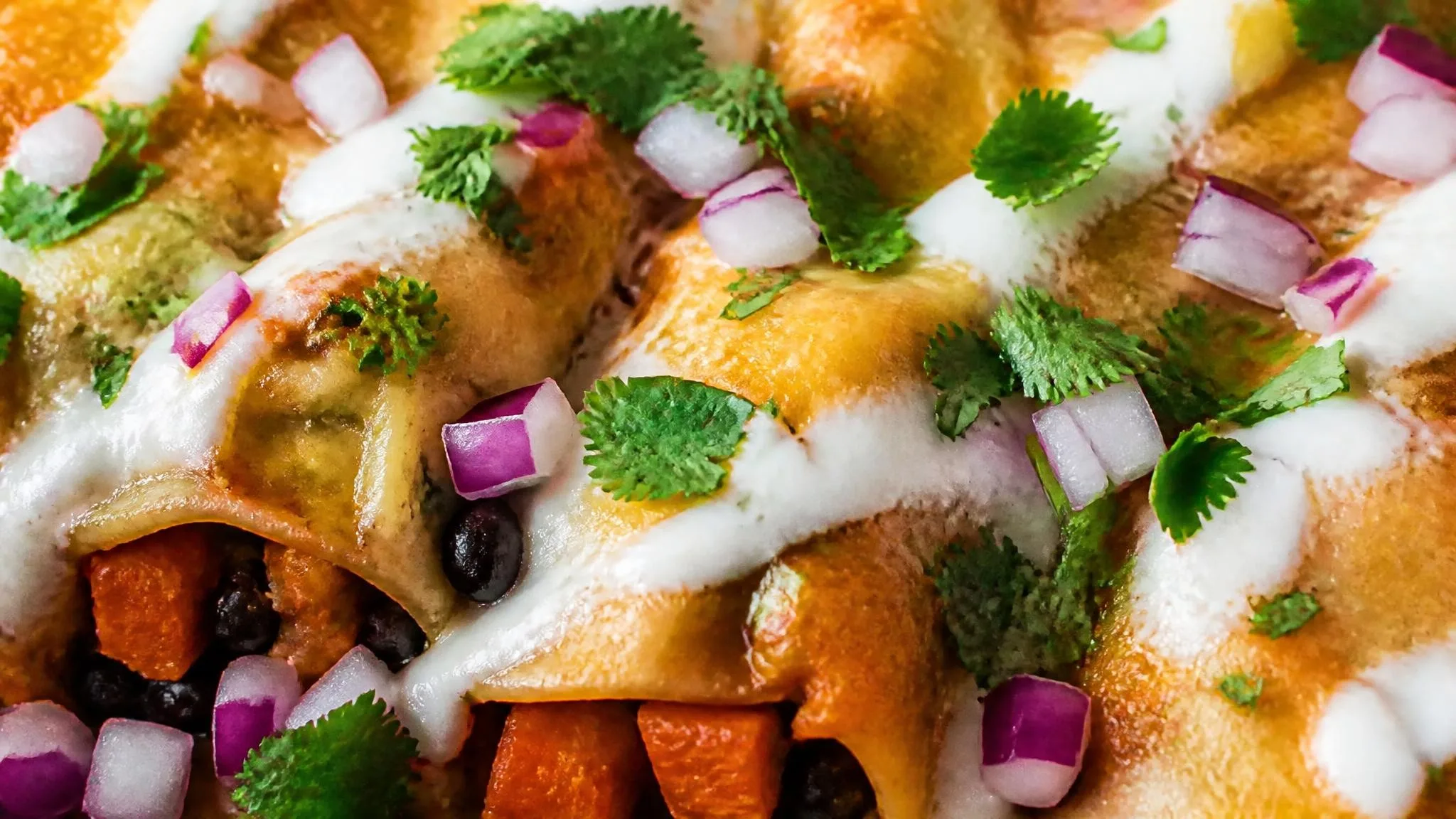 Black Bean Sweet Potato Enchiladas