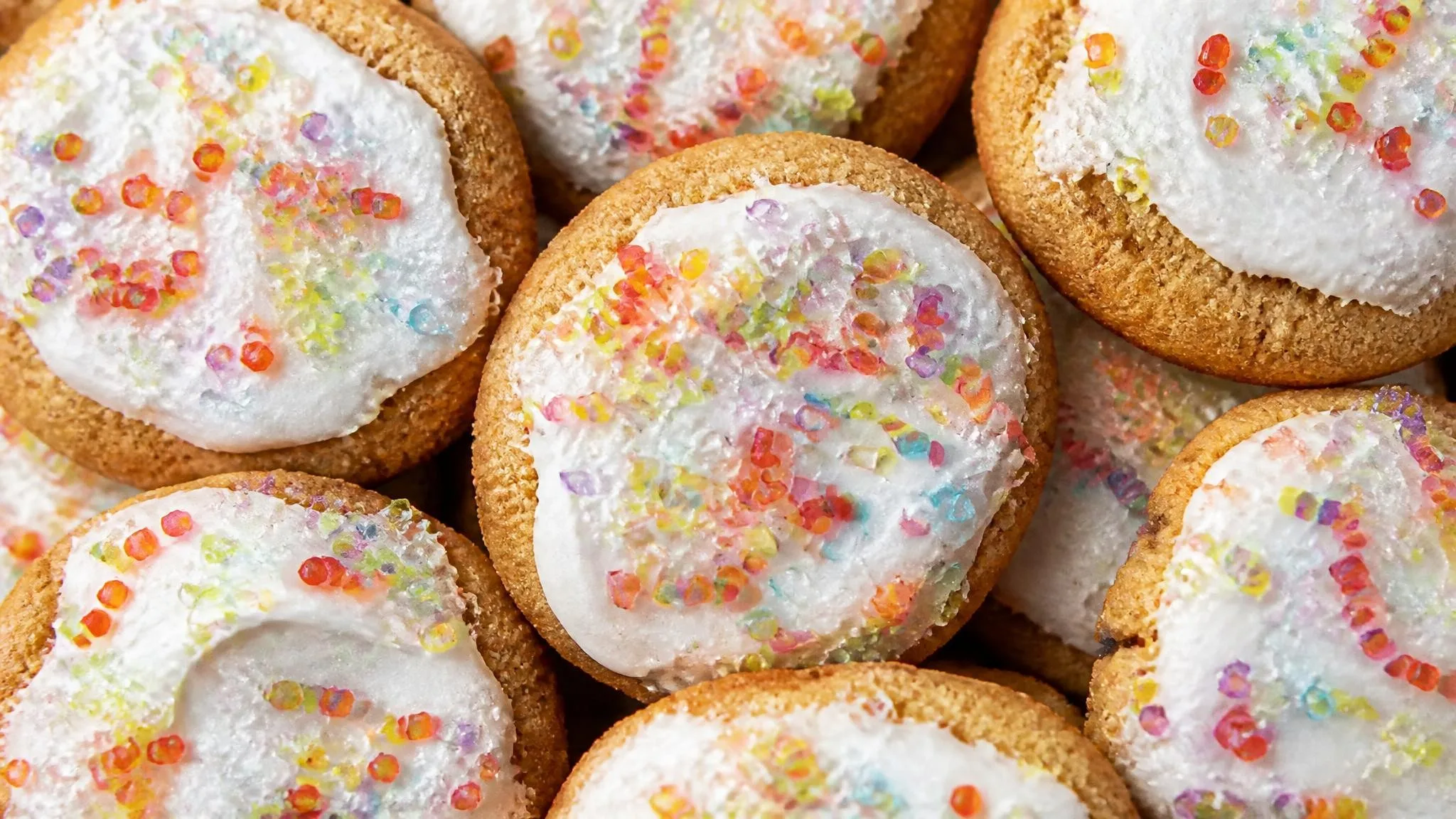 Coconut Sugar Cookies with Paleo Frosting